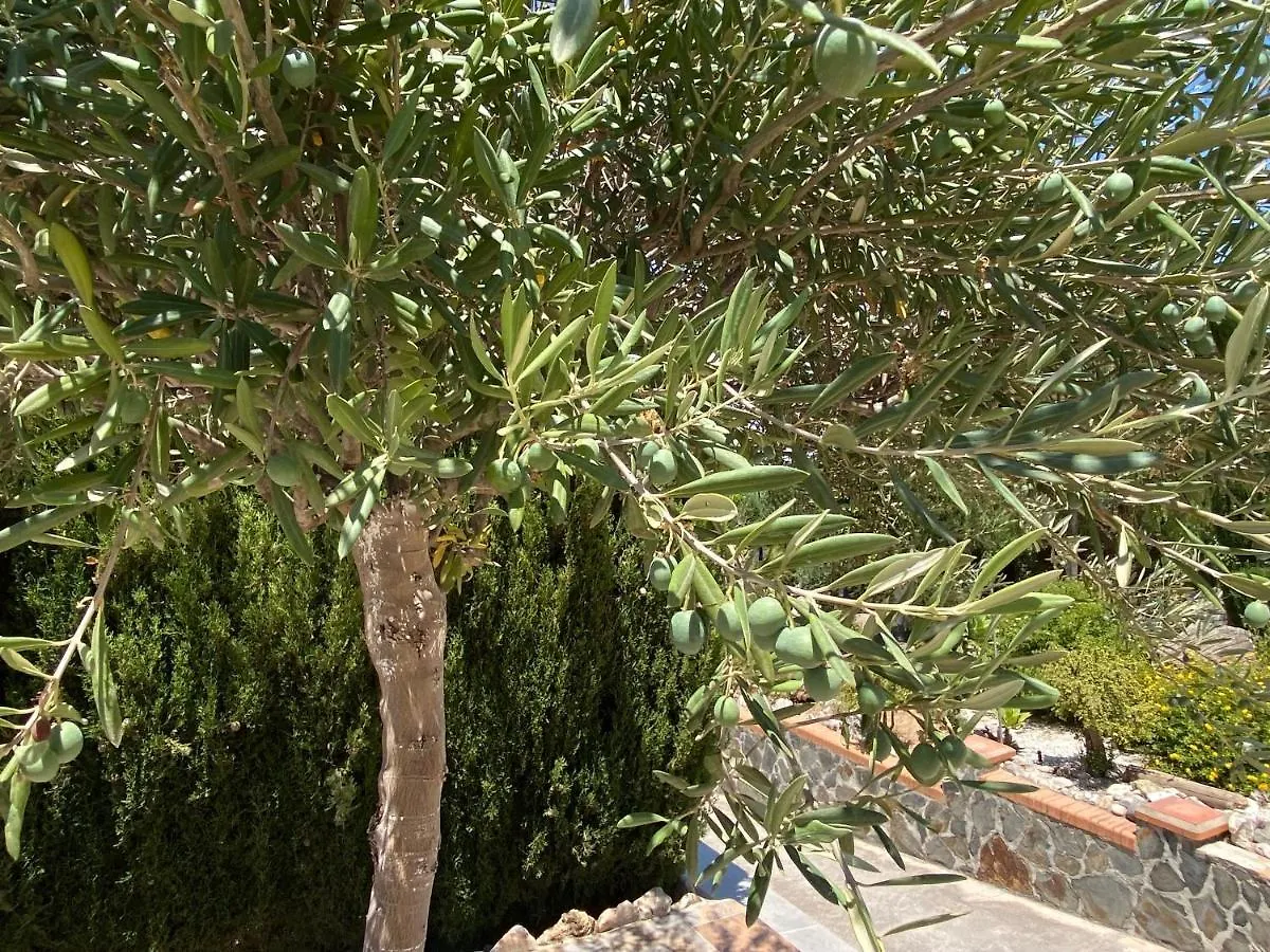 Bed & Breakfast B&B Casa Oceo - Malaga - Andalusie Alhaurin de la Torre